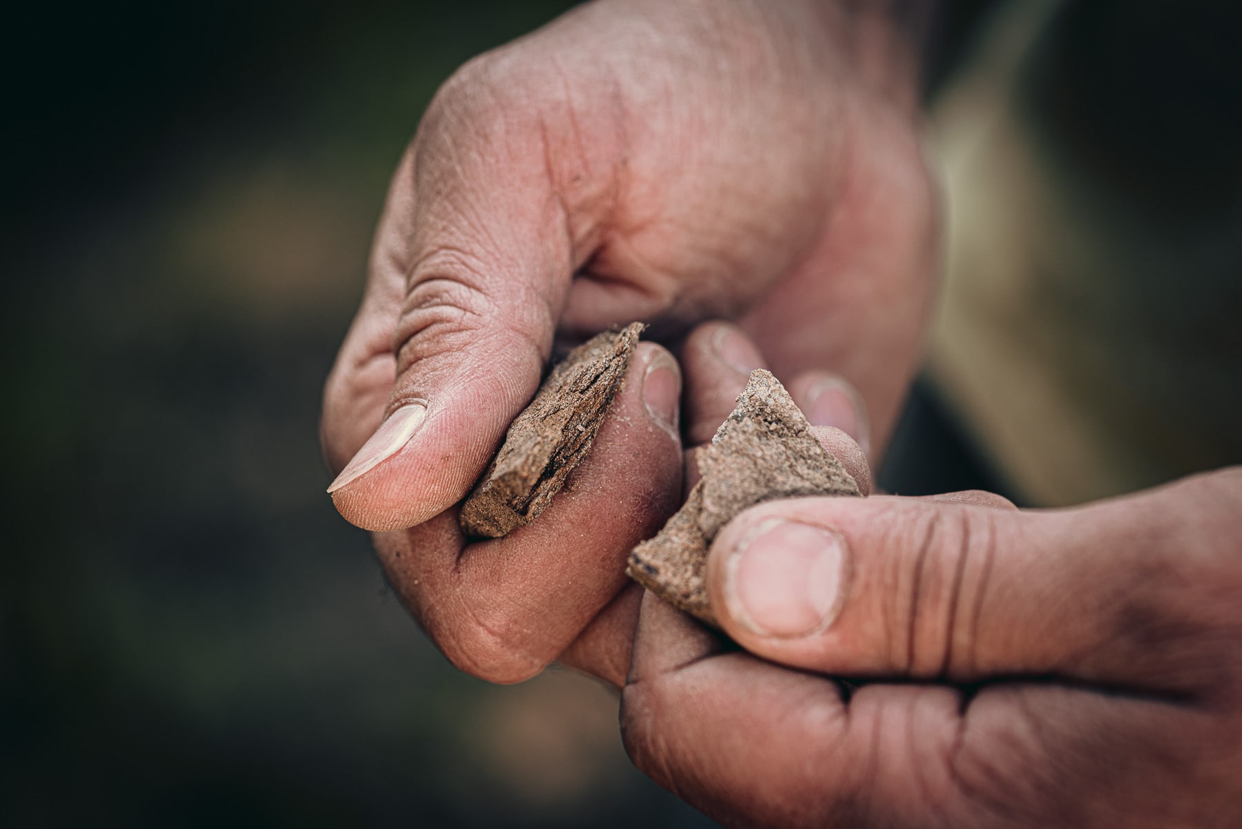 Terroir, Domaine Gadais Père &amp; Fils