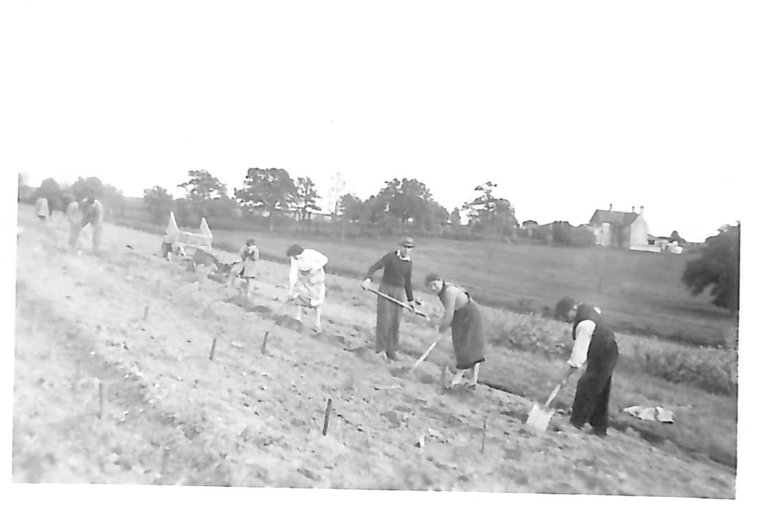 History, Domaine Gadais Père &amp; Fils